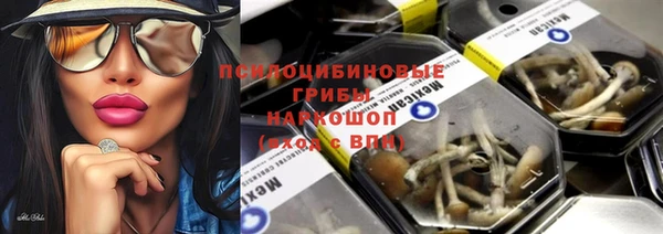 прущие грибы Балахна