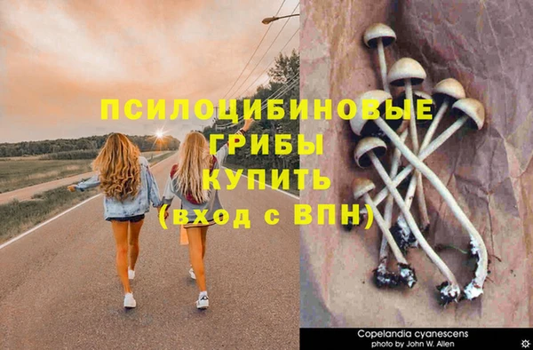 эйфоретик Аркадак