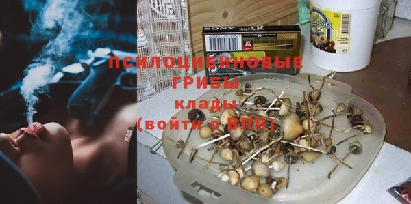 прущие крисы Армянск