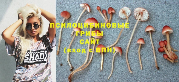 прущие грибы Балахна