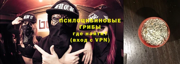 прущие грибы Балахна