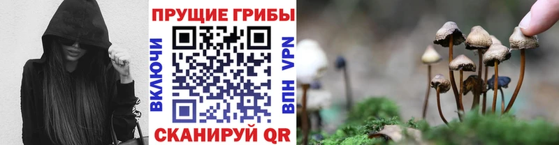 даркнет сайт  Радужный  Псилоцибиновые грибы MAGIC MUSHROOMS 
